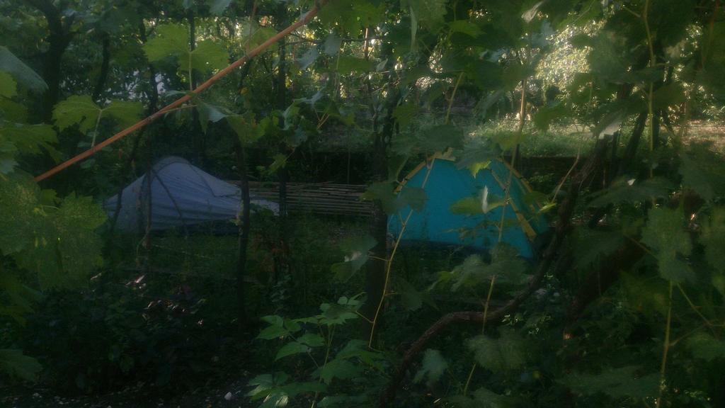 Camping Late Gjirokaster Exterior photo
