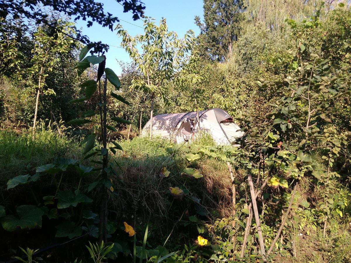 Camping Late Gjirokaster Exterior photo