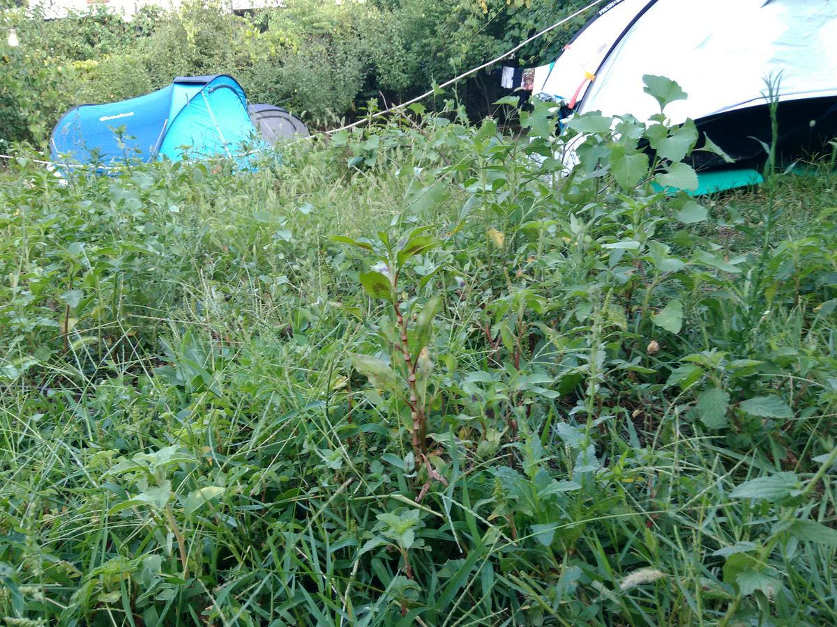 Camping Late Gjirokaster Exterior photo